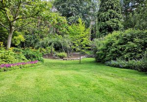Optimiser l'expérience du jardin à Saint-Hilaire-le-Lierru